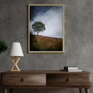 photo d'un arbre dans un ciel nuageux