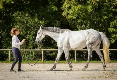 une cavaliere marchant devant son cheval