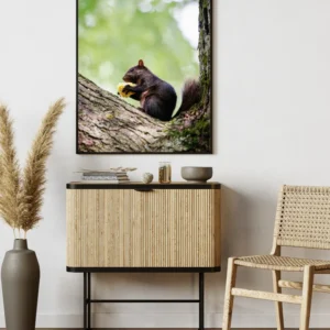 écureuil mangeant sur une branche