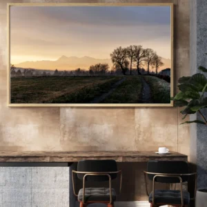 lever de soleil depuis un pré avec des arbres et les montagnes en fond