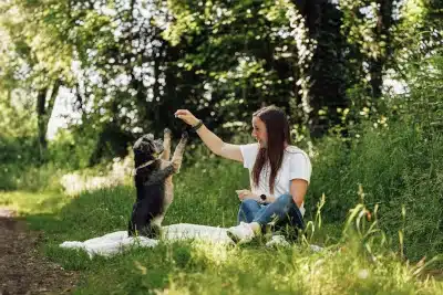 un maitre faisant se mettre sur les pattes arrières son chien