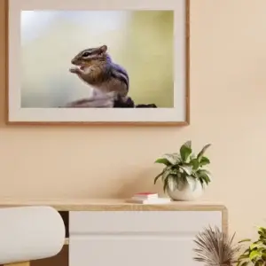 tamia en train de manger