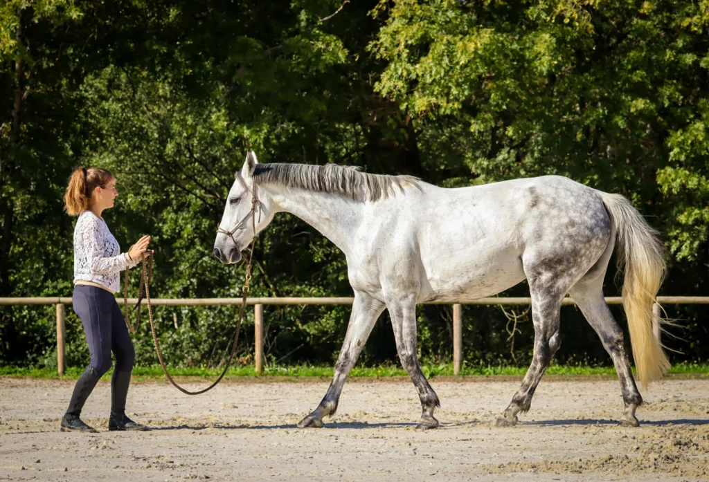 une cavaliere marchant devant son cheval